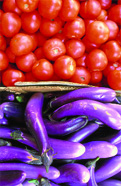 Les politiques nutritionnelles en France et � l'�chelon communautaire