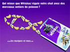 22 marques en campagne, l'union fait la force