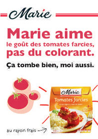 texte alternatif