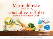 texte alternatif