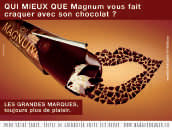 Les grandes marques en campagne: La saga continue en 2007