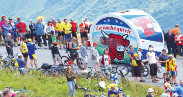 La vache qui voyage