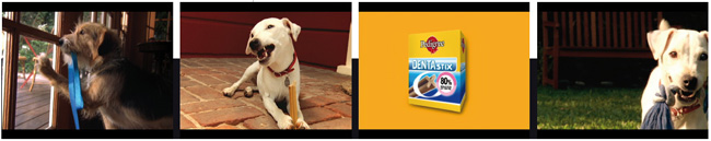 Dentastix, une marque dotée d’un excellent pedigree