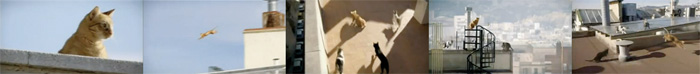 Friskies une vitalité communicante