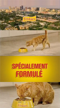 Friskies une vitalité communicante
