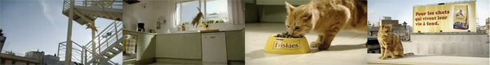 Friskies une vitalité communicante