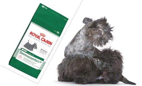 Les petfoods affinent leurs cibles