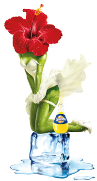 Orangina de nouveau secoué