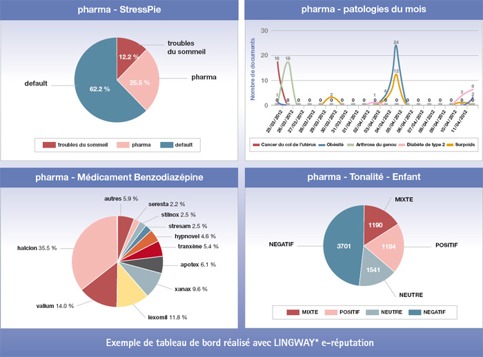 tableau de bord réalisé avec LINGWAY