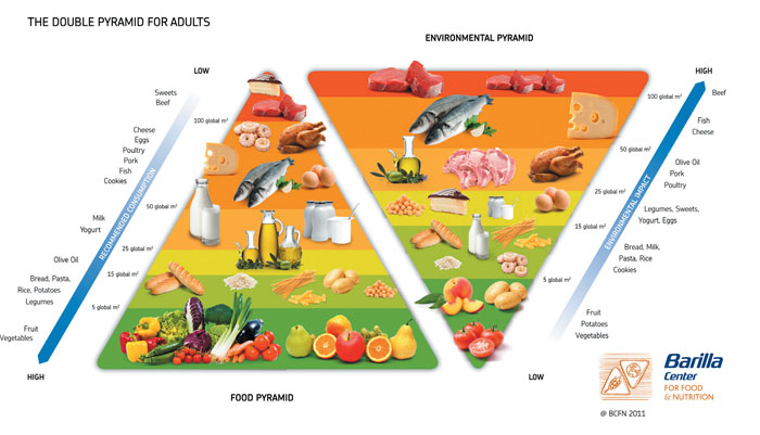 double pyramide alimentaire