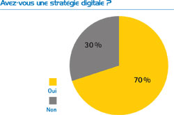 Avez-vous une strat�gie digitale ?