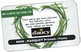 daucy