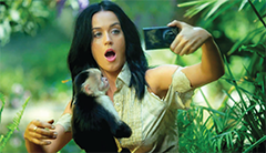 Katy Perry