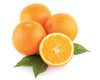 Tropicana