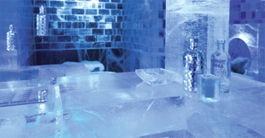 Absolut Icebar Tokyo