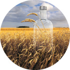 Absolut site de production