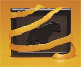 segment chocolat cote d'or