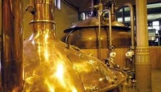 distillerie Heineken