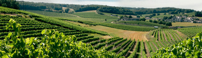 La r&eacute;gion de Cognac