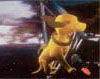 Lipton