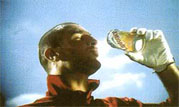Lipton Cantona