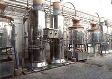 Distillerie Marie Brizard