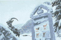 La piste mauve depuis 1997