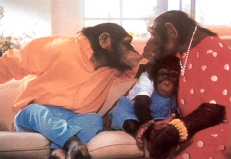 la famille de singes