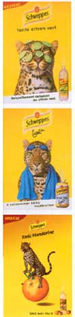 schweppes