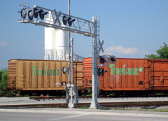 train Tropicana
